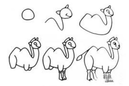 如何画骆驼 骆驼简笔画教程