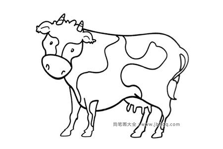 简笔画图片奶牛