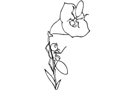 花上的蚂蚁简笔画