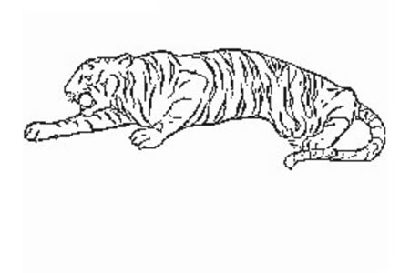 躺着的老虎简笔画图片
