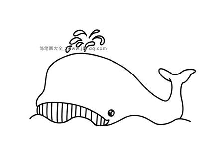 简单的鲸鱼简笔画图片