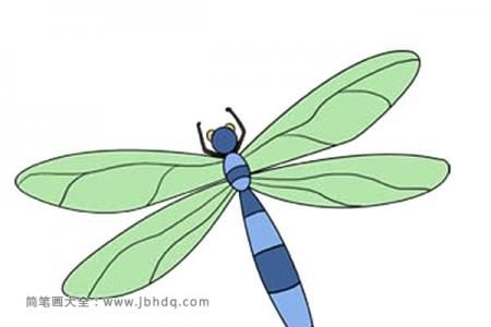 漂亮的蜻蜓简笔画图片