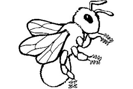 蜜蜂的简笔画画法