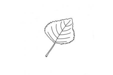 植物简笔画 关于树叶简笔画图片