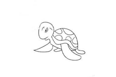 两张海龟的简笔画图片