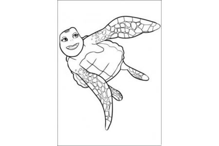 动物简笔画大全 大海龟简笔画