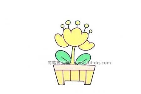 郁金香盆栽的画法