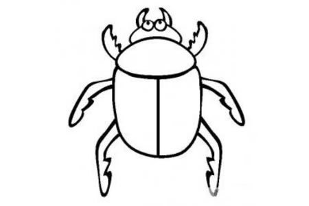 昆虫图片 甲虫简笔画图片