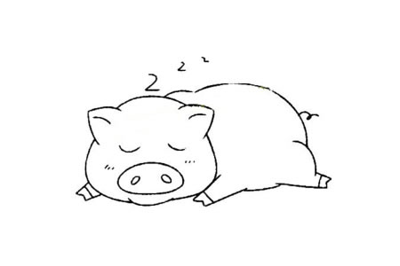 小动物的基本画法 猪的简笔画教程
