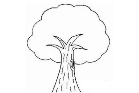 简单的大树简笔画图片
