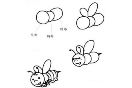如何画蜜蜂