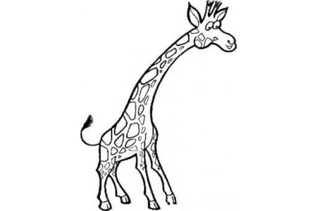 长颈鹿卡通形象简笔画