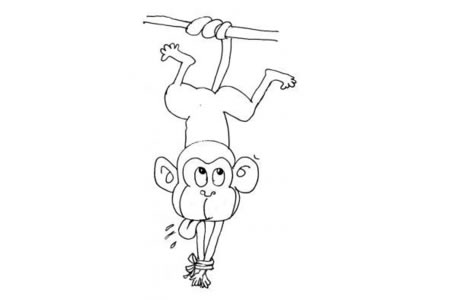 被捆住的猴子简笔画