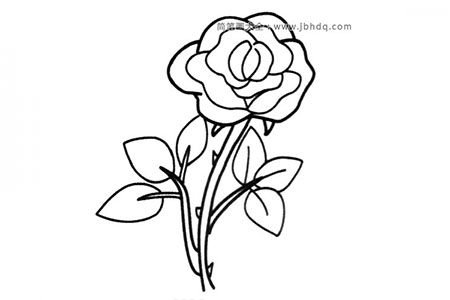 简笔画图片带刺的玫瑰
