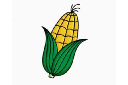 简单的玉米简笔画画法