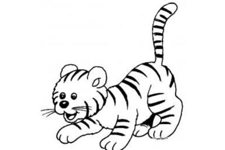 猫和老虎简笔画