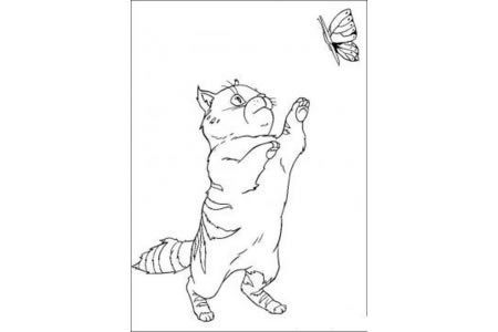 小猫抓蝴蝶简笔画