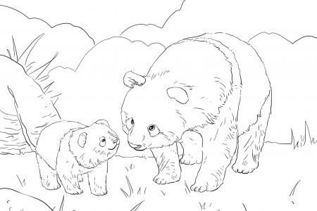 熊猫妈妈带着可爱的宝宝
