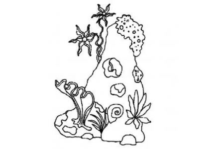 海底植物简笔画