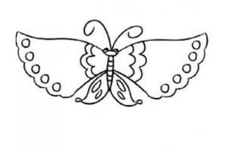 美丽的蝴蝶简笔画