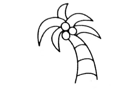 椰子树简笔画图片大全及画法步骤