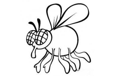 昆虫图片 卡通苍蝇简笔画图片