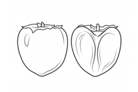简单的柿子画法