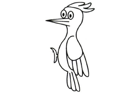 啄木鸟简笔画大全及画法步骤