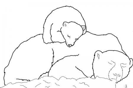 北极熊宝宝睡在妈妈背上