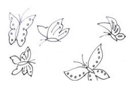 蝴蝶的简笔画画法介绍