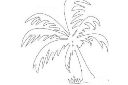 超简单椰子树简笔画