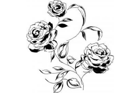 精美的玫瑰花简笔画图片