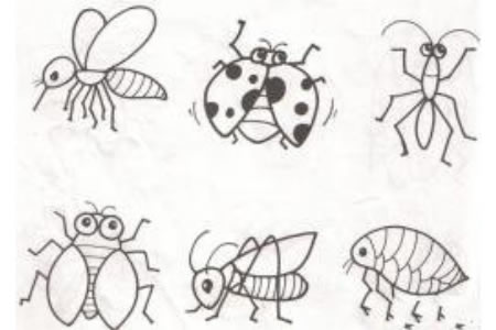 儿童简笔画昆虫类