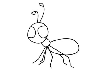 蚂蚁简笔画图片大全及画法步骤