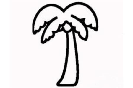 简笔画椰子树的画法