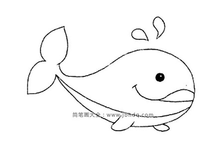 动物简笔画 鲸鱼