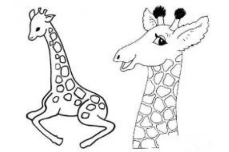 小学生长颈鹿简笔画图片