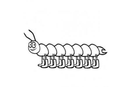 昆虫图片 卡通蜈蚣简笔画图片