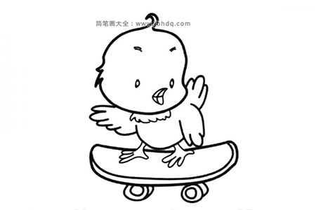 玩滑板的小鸟