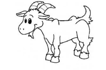 儿童卡通羊简笔画图片