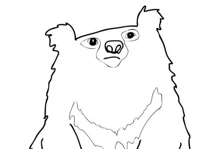 懒熊简笔画画法