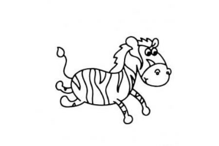 野生动物简笔画 可爱的小斑马
