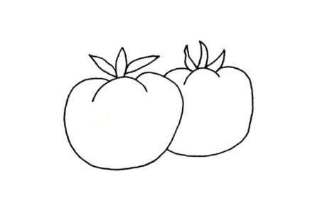 简单的植物简笔画 西红柿简笔画图片