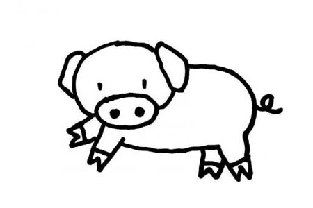 可爱的小猪简笔画