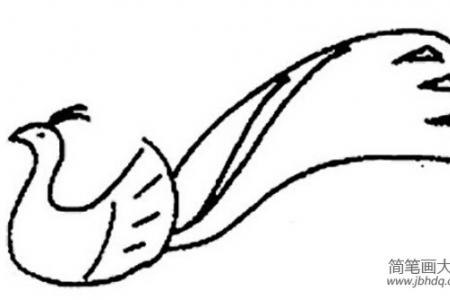 绘画美丽的孔雀开屏简笔画图片素描彩铅