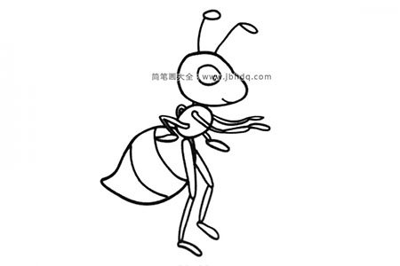可爱的蚂蚁简笔画