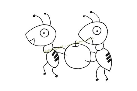 两只蚂蚁搬苹果