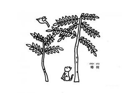 椿树简笔画图片
