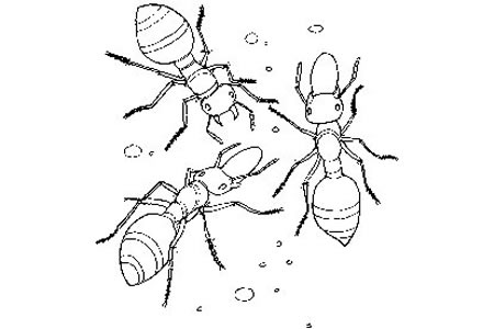 教小朋友画蚂蚁