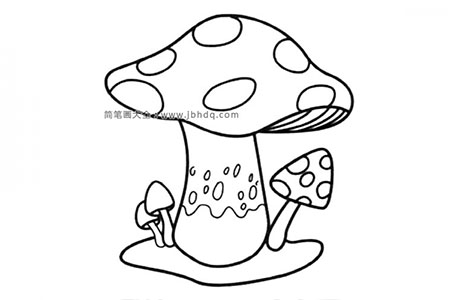 大蘑菇小蘑菇